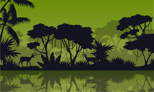 剪影雨森林湖风景照片