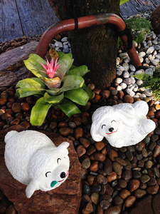 岩石动物玩偶在砾石庭院图片