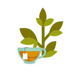绿色的叶子和杯茶
