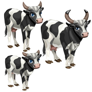 成熟阶段的牛，经济增长的三个阶段