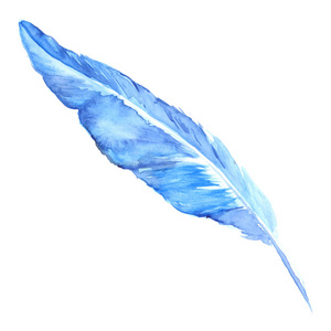 孤立的水彩蓝青色鸟质朴羽毛