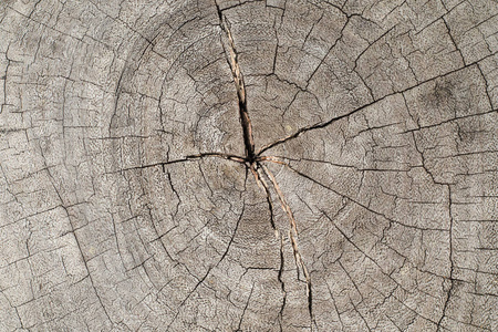 纹理的木材使用作为自然背景