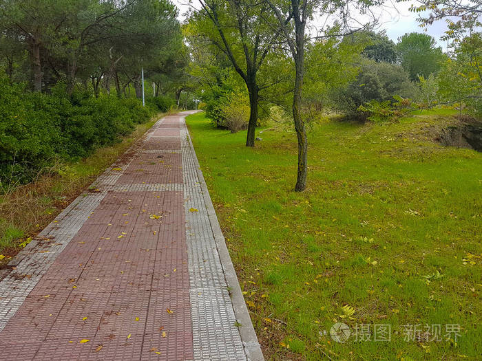 穿越绿色公园的人行道