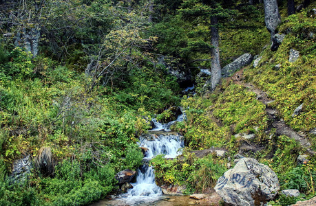 在山林中流