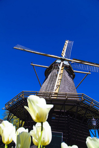 在荷兰风景水车照片