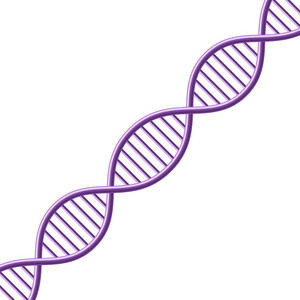 Dna 的符号。矢量图