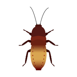 彩色厌恶矢量彩色的蟑螂照片