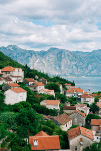 Perast 认为，从这座塔。从高处，从茶的照片