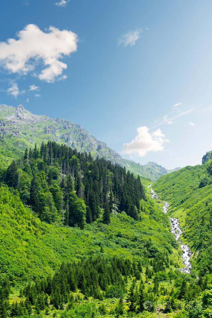 在夏天,g 在山间的绿色山谷瀑布