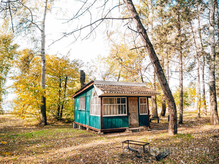 在森林里的房子