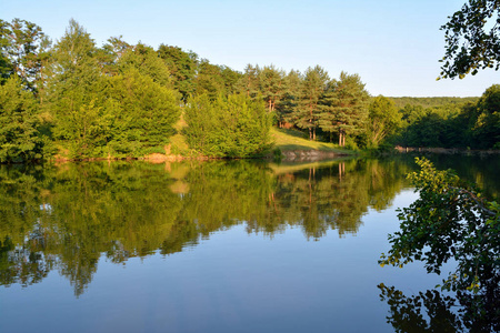 森林湖与反射树木在水中