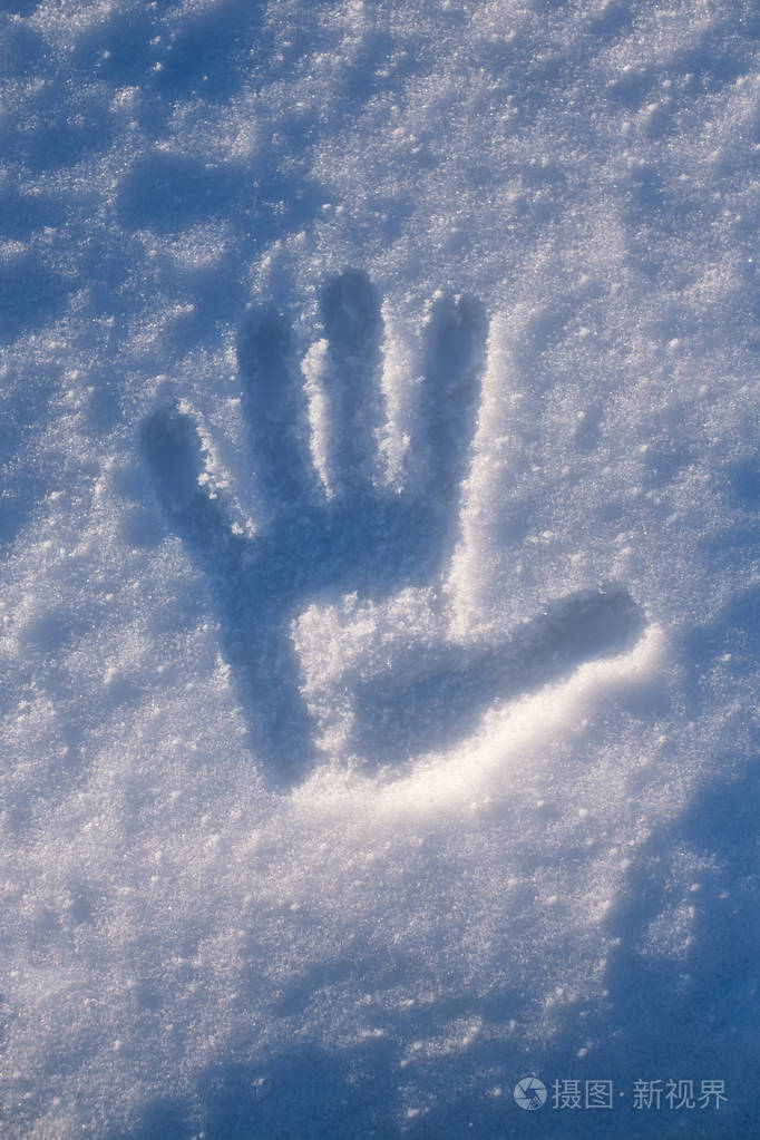 在雪地上的掌纹