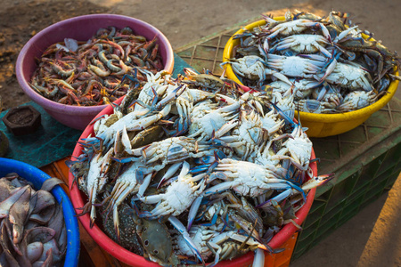 螃蟹在印度市场的销售