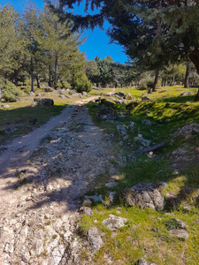 通过一座山的小土路