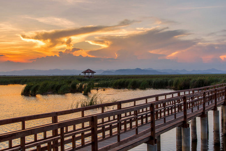 莲花湖上日落的时候在考山姆三百峰国家公园，泰国木制桥