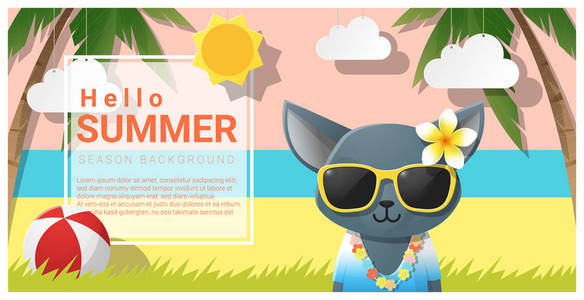 你好夏天背景与猫头戴太阳镜，矢量图