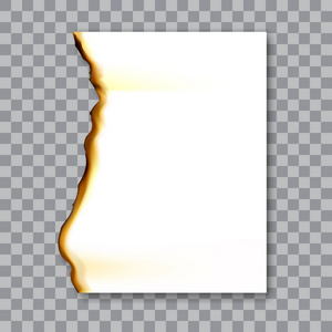 烧的张纸灰.损害边缘和被毁坏的表.在透明背景矢量图插画