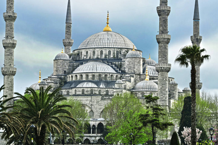 苏丹艾哈迈德清真寺或在土耳其伊斯坦布尔的蓝色清真寺