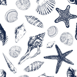 无缝模式与各种海贝壳