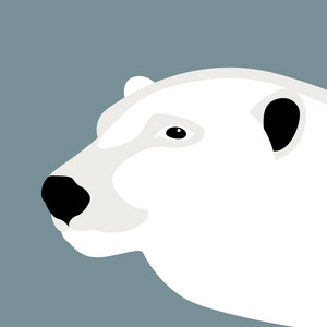 北极熊头矢量插画风格平