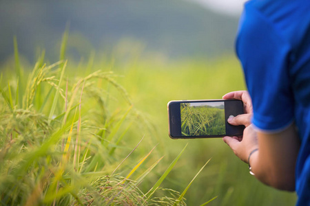 使用智能手机拍照的稻田的男人