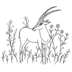 弯弯动物简笔画装饰的瞪羚图形手绘制的矢量卡通涂鸦动物插图,站着