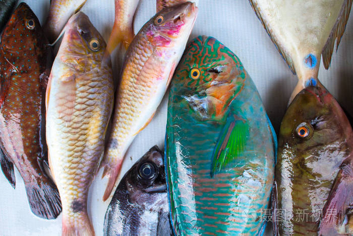 市场桌上的热带海鱼.海鲜本地市场专卖店