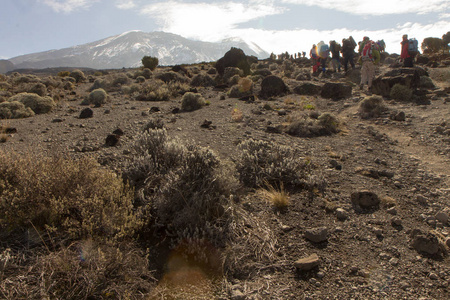 跟踪在乞力马扎罗山上 Machame 路线威士忌。3 天