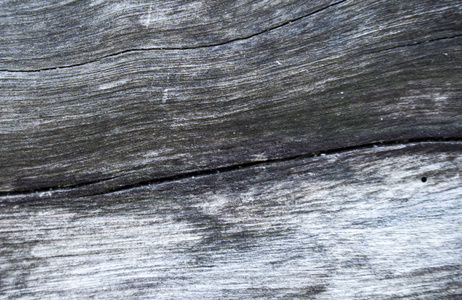 灰色木纹理宏照片。背景白色和灰色木头