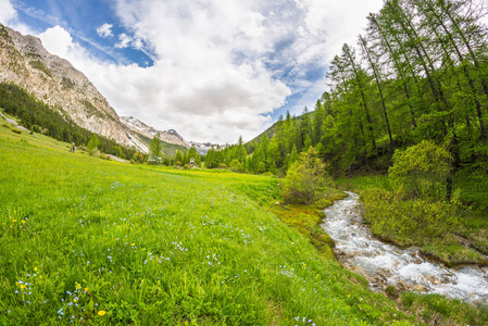 流动的透明水田园诗般的无污染环境中意大利法国阿尔卑斯山高海拔高山流上。超广角视图