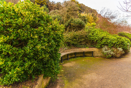 胡同在一个美丽的绿色公园, 木长椅休息, 郁郁葱葱的韦格