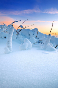 在韩国的冬天，白雪覆盖的德裕山山上的日出