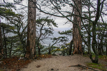 艾佩特里山的山坡