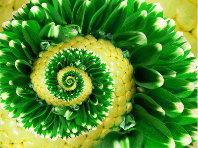 花螺旋抽象图案分形.令人难以置信的绿色花草图案圆螺旋圈背景.