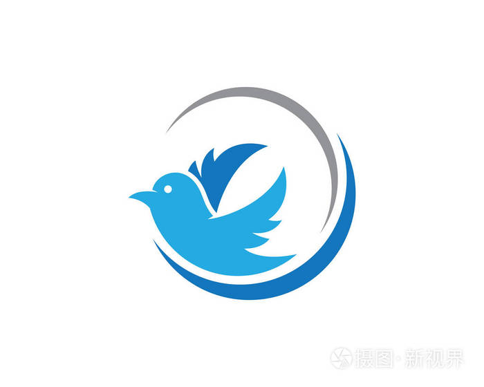 矢量-矢量符号抽象在飞行中的鸟