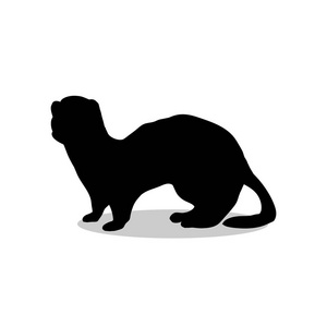 貂动物鼬鼬鼠貂黑色剪影动物插画