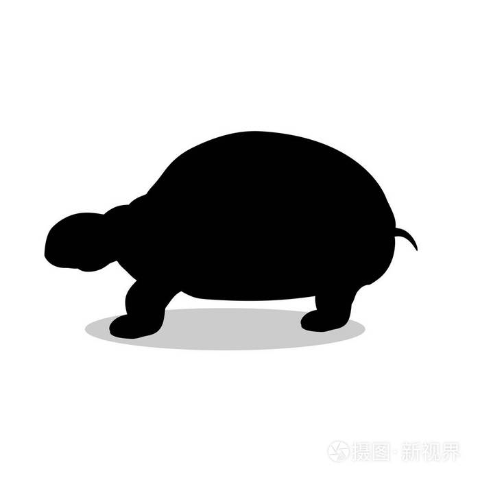 土地龟爬行动物黑色剪影动物