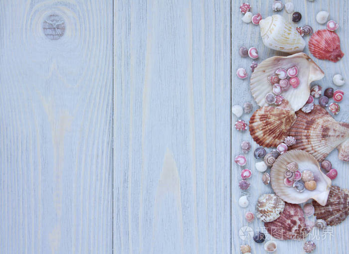 贝壳在木板上的海洋背景.边框的贝壳