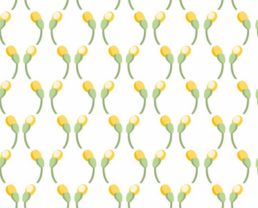 花卉图案，无缝，黄芽，白色背景矢量