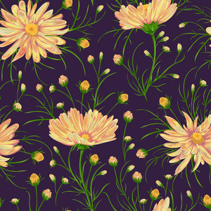 洋甘菊花的无缝模式。质朴的花卉背景。在水彩风格复古矢量图