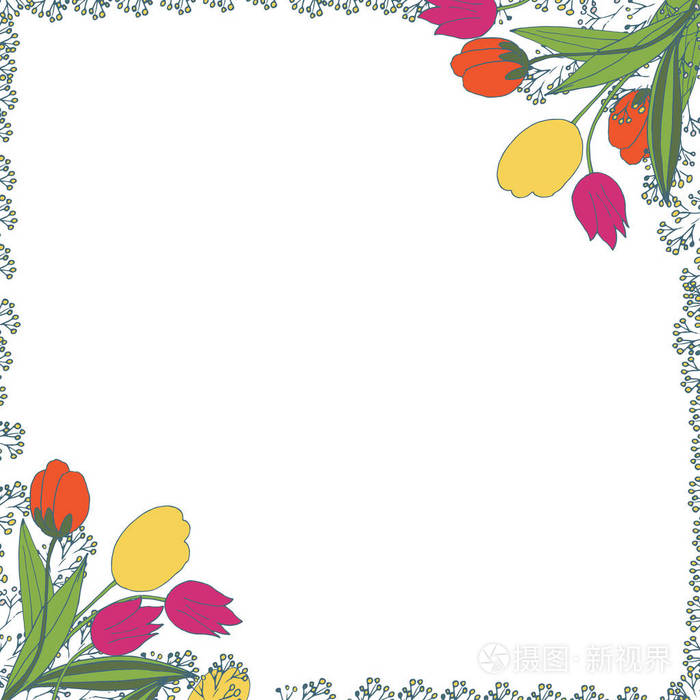 矢量花卉手绘制的框架春天的郁金香