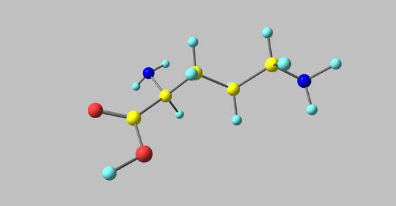 鸟氨酸分子结构上灰色孤立