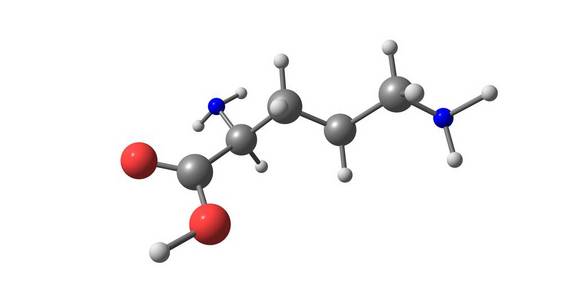 鸟氨酸分子结构上白色孤立照片