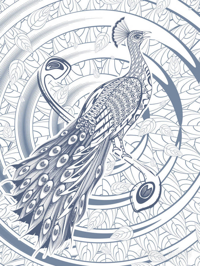 手绘美丽的孔雀模板插画-正版商用图片0yciyf-摄图新视界