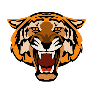 虎头脸矢量插画风格平照片