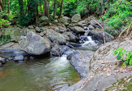 在夏天，泰国瀑布附近水流的花园景观