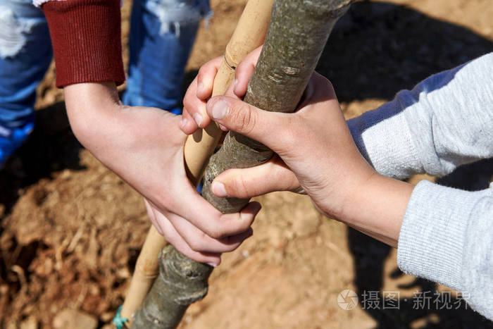 在植树过程中持有伯乐的儿童