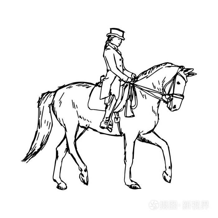 骑马画法图片