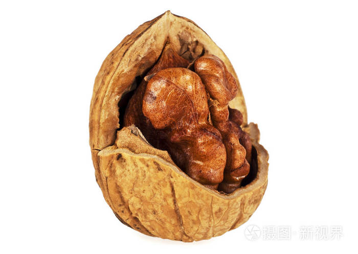 在白色背景上孤立的单个核桃