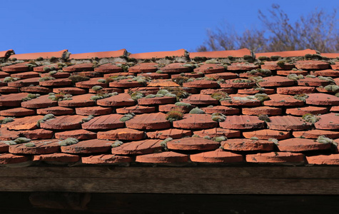 在蓝天前的苔藓屋顶